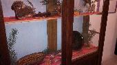 2015-12-16 Vno?n ?ten